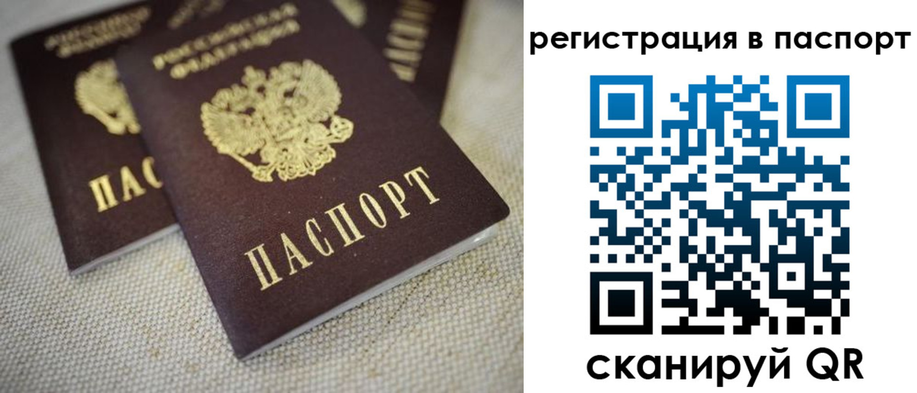 прописка гарантия в Малой Вишере